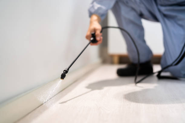 Professional exterminator conducting IPM assessment in Lindenhurst