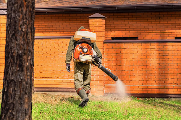 Top rated local Wasp Removal specialists in Lindenhurst, IL